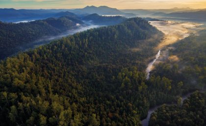 "Tarkine in motion", threatened forest region in Tasmania (Photo: Rob Blackers) "Tarkine in motion", threatened forest region in Tasmania